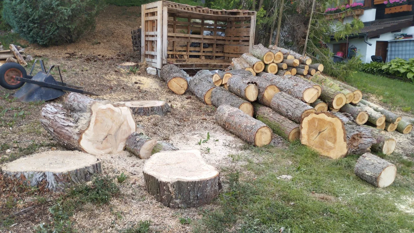 Wood before and after cutting and splitting — avant